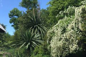 Изображение квартиры / апартамента "Комната под ключ в Лидзаве"