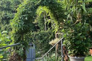 Изображение отеля / гостиницы "Гостевой дом «Апельсин»"