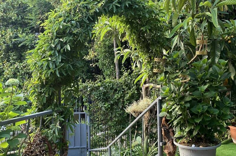 Изображение Изображение гостиницы &quot;Гостевой дом «Апельсин»&quot; #1 #1