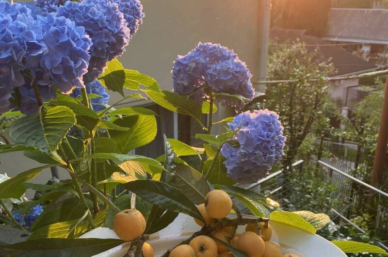 Изображение Изображение гостиницы &quot;Гостевой дом «Апельсин»&quot; #3 #3