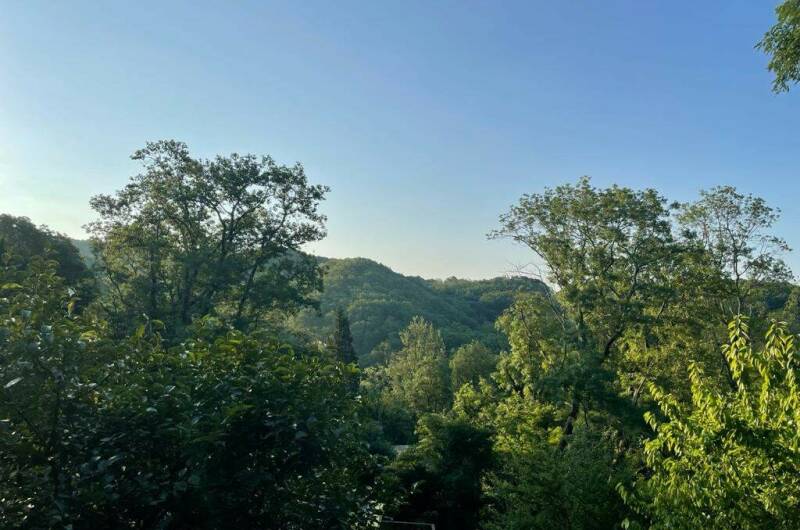 Изображение Изображение гостиницы &quot;Гостевой дом «Terrasa»&quot; #6 #6