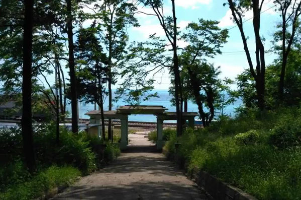 Изображение Изображение отеля / гостиницы "Гостевой дом «Terrasa»" #10 #8