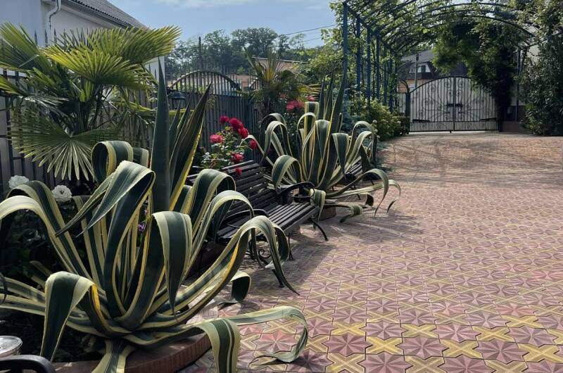 Изображение Изображение гостиницы "Гостевой дом «Горная орхидея»" #5 #5