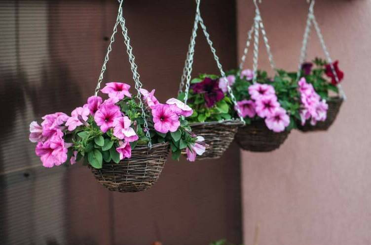 Изображение Изображение гостиницы &quot;Гостевой дом «Ейский»&quot; #4 #4