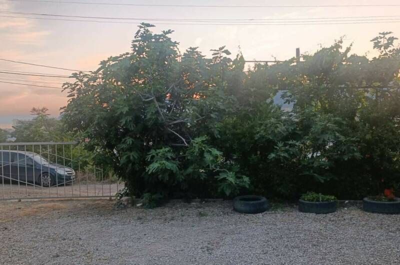 Изображение Изображение гостиницы &quot;Гостевой дом «Эмилия»&quot; #4 #4