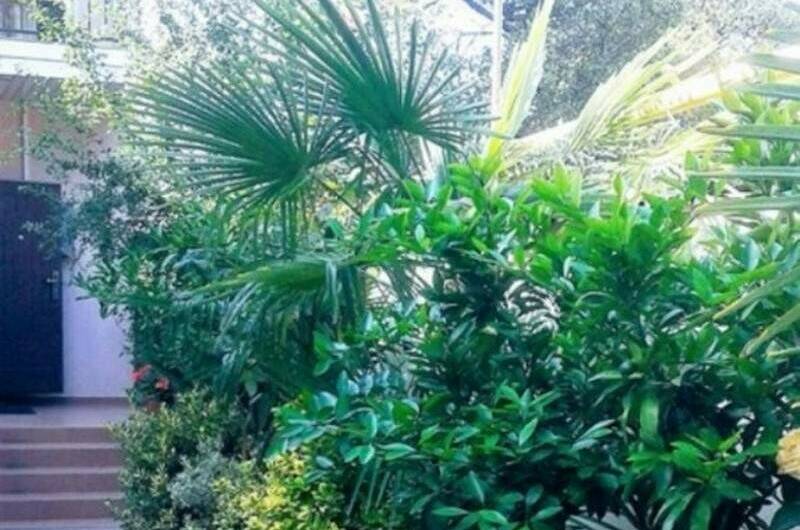 Изображение Изображение гостиницы &quot;Гостевой дом «Планета»&quot; #2 #2