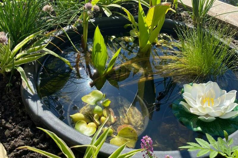 Изображение Изображение гостиницы &quot;Частный сектор на Ленина 29/4&quot; #3 #3