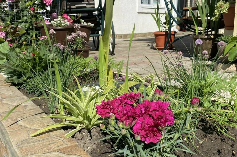 Изображение Изображение гостиницы &quot;Частный сектор на Ленина 29/4&quot; #6 #6