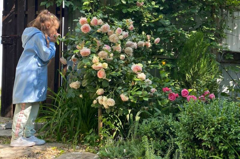 Изображение Изображение отеля / гостиницы "Частный дом «Море-Лето»" #10 #8