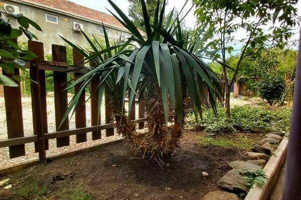 Изображение Изображение гостиницы "Гостевой дом «Атмосфера»" #7 #7