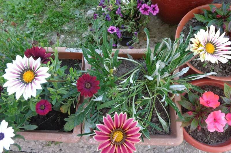 Изображение Изображение гостиницы "Гостевой дом «Жемчужина у Моря»" #6 #6