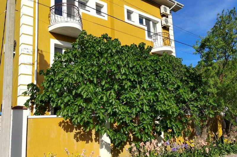 Изображение Изображение гостиницы &quot;Частный дом «Солнечная 7»&quot; #8 #8