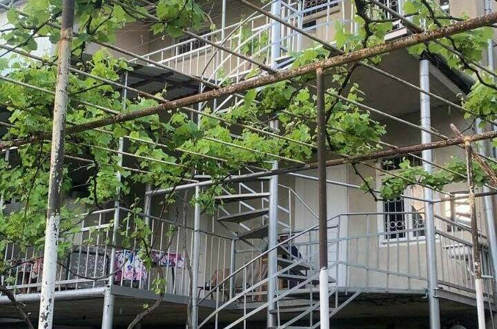 Изображение Изображение отеля / гостиницы "Гостевой дом «МихеевХаус»" #3 #3