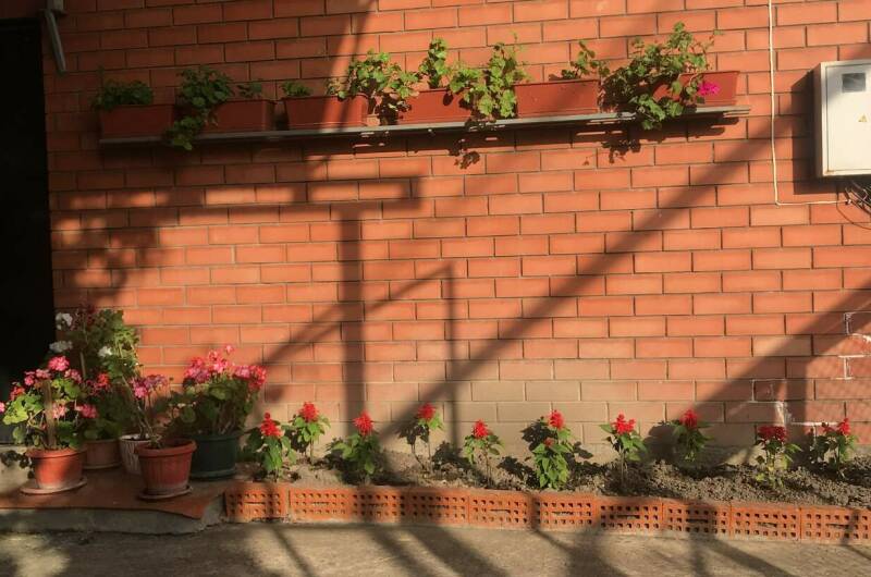 Изображение Изображение гостиницы "Гостевой дом «ТриЯ»" #7 #7