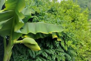 Изображение Частный сектор на Тихорецкой 2 #2