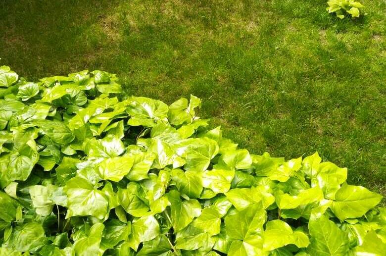 Изображение Изображение гостиницы "Частный сектор на Звёздной" #2 #2