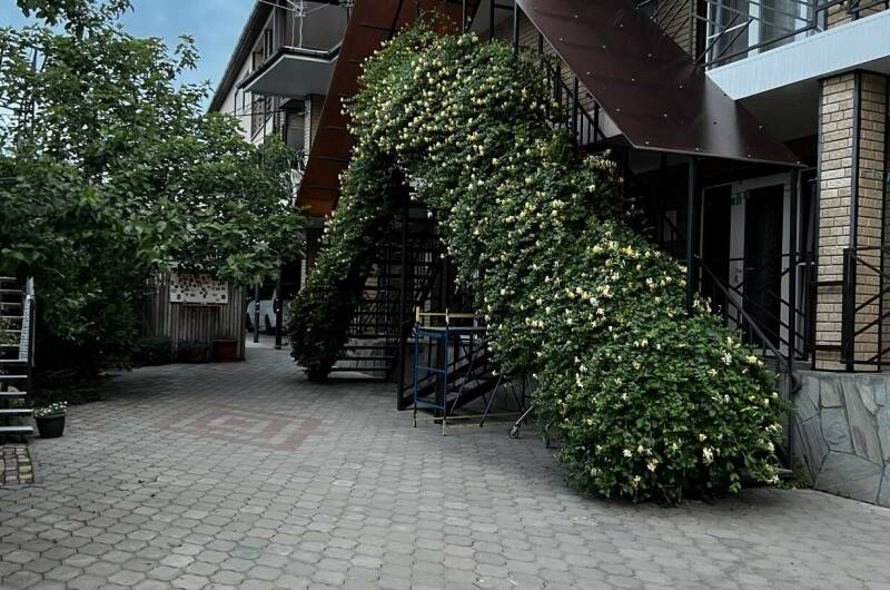 Изображение Изображение гостиницы &quot;Гостевой дом На школьной 18 «Б»&quot; #1 #1