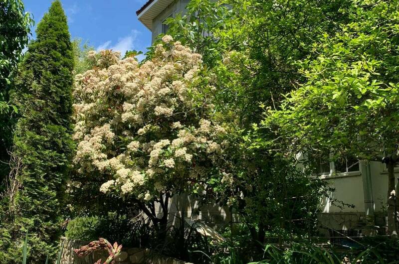 Изображение Изображение гостиницы "Гостевой дом «Рассвет»" #4 #4