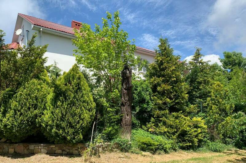 Изображение Изображение гостиницы "Гостевой дом «Рассвет»" #8 #8