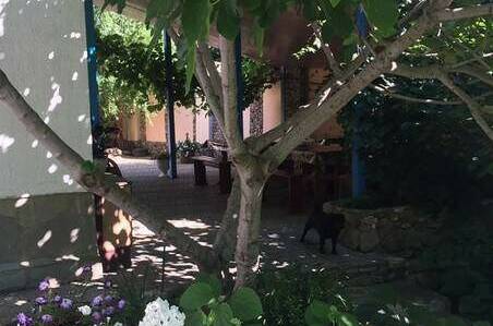 Изображение Изображение отеля / гостиницы "Гостевой дом «Рассвет»" #10 #8