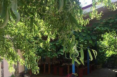 Изображение Изображение отеля / гостиницы "Гостевой дом «Рассвет»" #11 #9