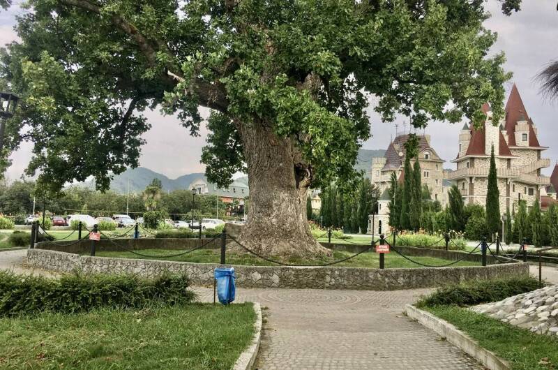 Изображение Изображение квартиры "Апартаменты «Моремирт»" #7 #7