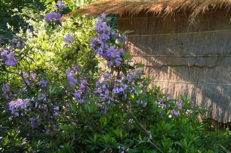 Изображение Изображение гостиницы "Кемпинг «Шлыпра»" #2 #2