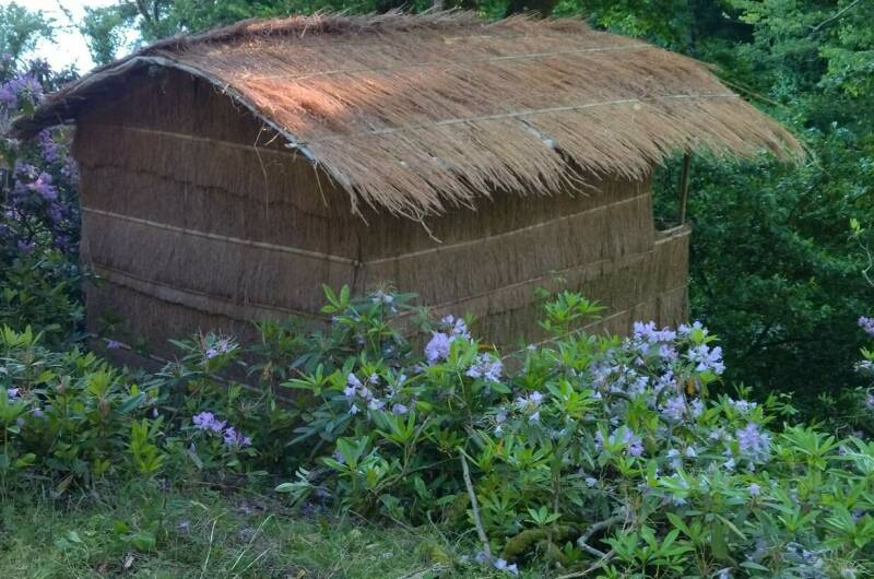 Изображение Изображение гостиницы "Кемпинг «Шлыпра»" #3 #3