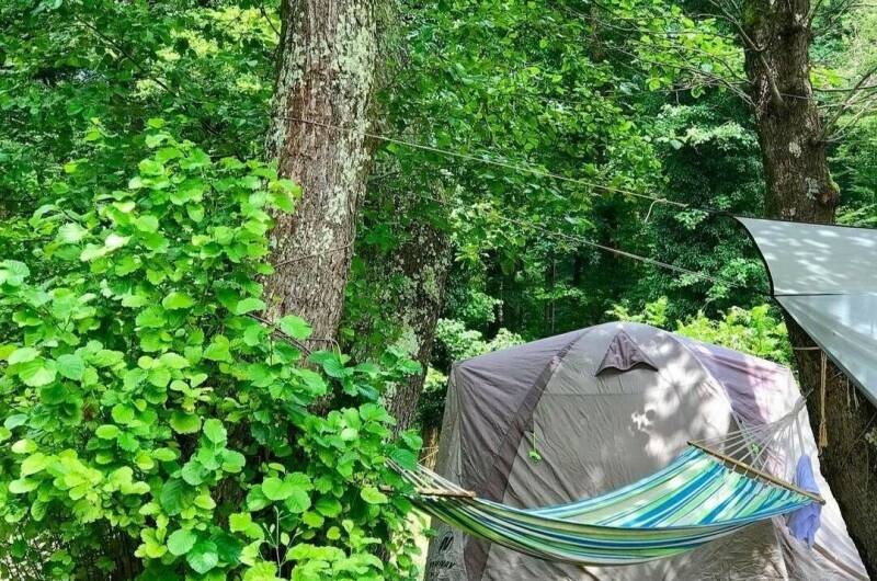 Изображение Изображение гостиницы "Кемпинг «Шлыпра»" #4 #4