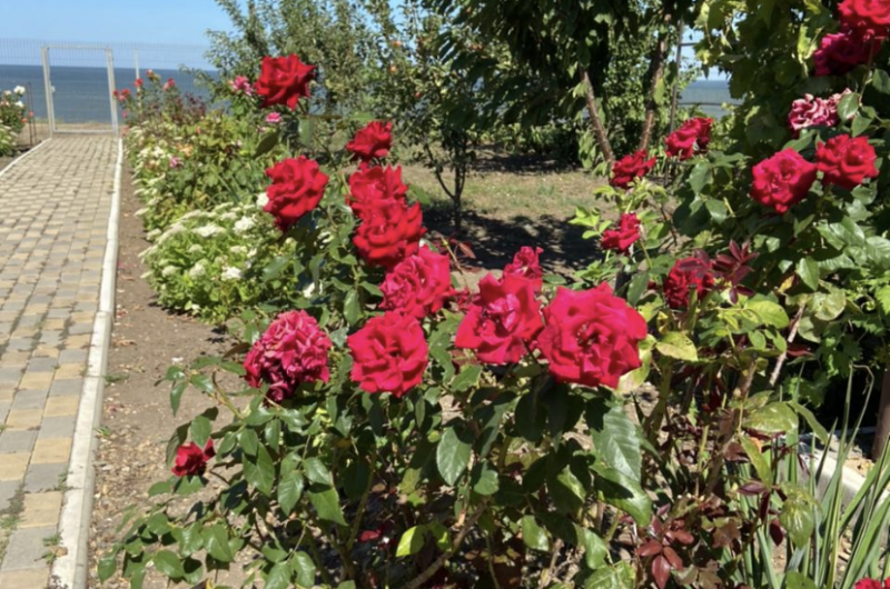 Изображение Изображение гостиницы &quot;Гостевой дом «Стефания»&quot; #2 #2