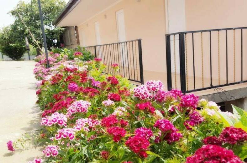 Изображение Изображение гостиницы &quot;Гостевой дом «Отдых у Жанны»&quot; #1 #1