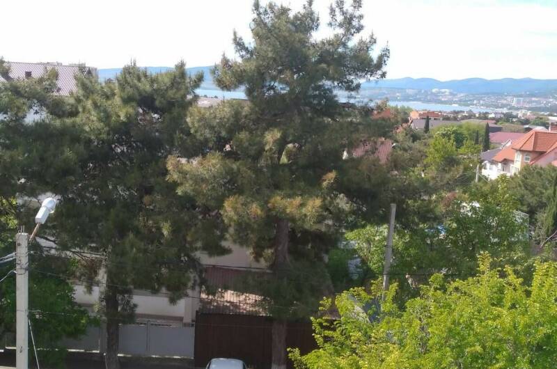 Изображение Изображение квартиры "Однокомнатная квартира на Совхозной" #5 #5