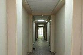 Изображение Изображение гостиницы "Гостевой дом «Весна»" #5 #5