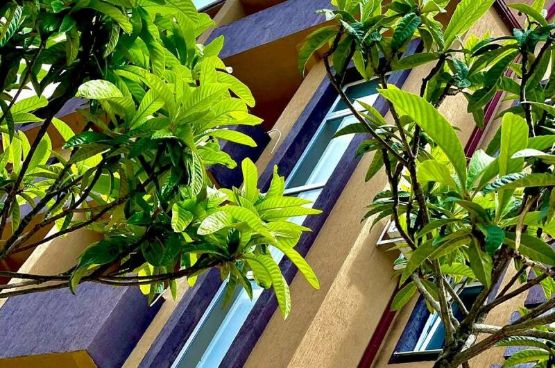 Изображение Изображение гостиницы "Гостевой дом «Чародейка»" #6 #6