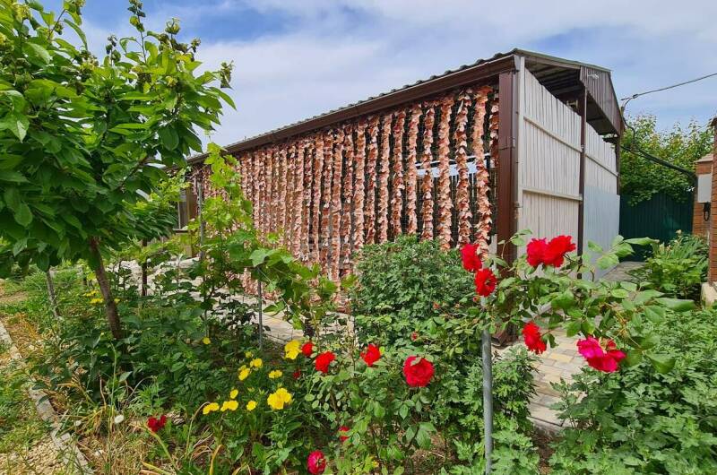 Изображение Изображение гостиницы &quot;Гостевой дом «Businka»&quot; #4 #4