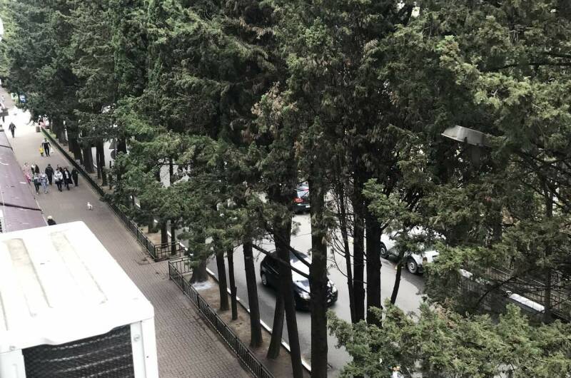 Изображение Изображение квартиры &quot;Двухкомнатная квартира&quot; #2 #2