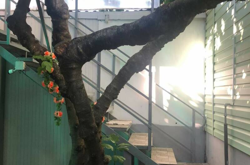 Изображение Изображение гостиницы &quot;Гостевой дом на Греческой&quot; #7 #7