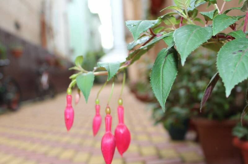 Изображение Изображение гостиницы "Гостевой дом «Ангелина»" #2 #2