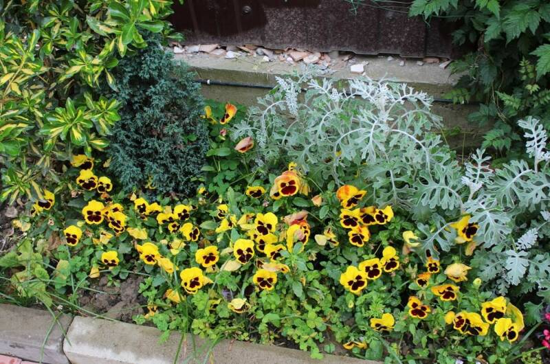 Изображение Изображение гостиницы "Гостевой дом «Ангелина»" #6 #6