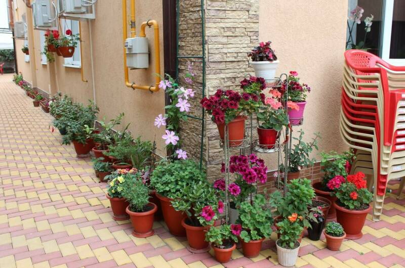 Изображение Изображение гостиницы "Гостевой дом «Ангелина»" #8 #8