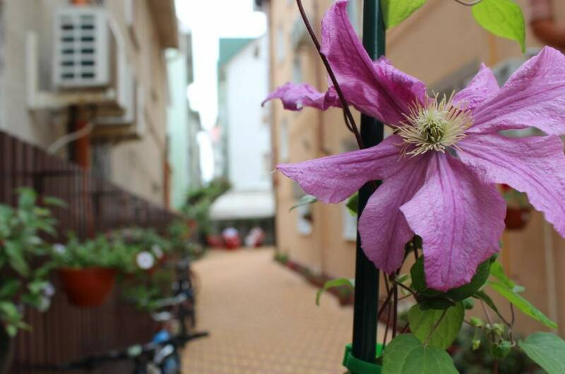 Изображение Изображение отеля / гостиницы "Гостевой дом «Ангелина»" #10 #8