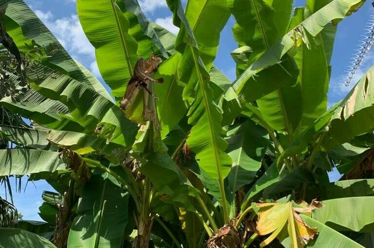 Изображение Изображение отеля / гостиницы "Гостевой дом «Морской Эдем»" #10 #8