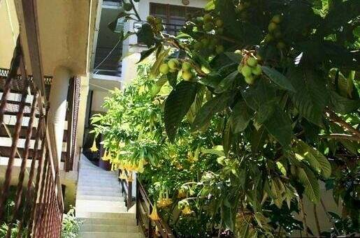 Изображение Изображение гостиницы "Гостевой дом «Лазурный»" #5 #5