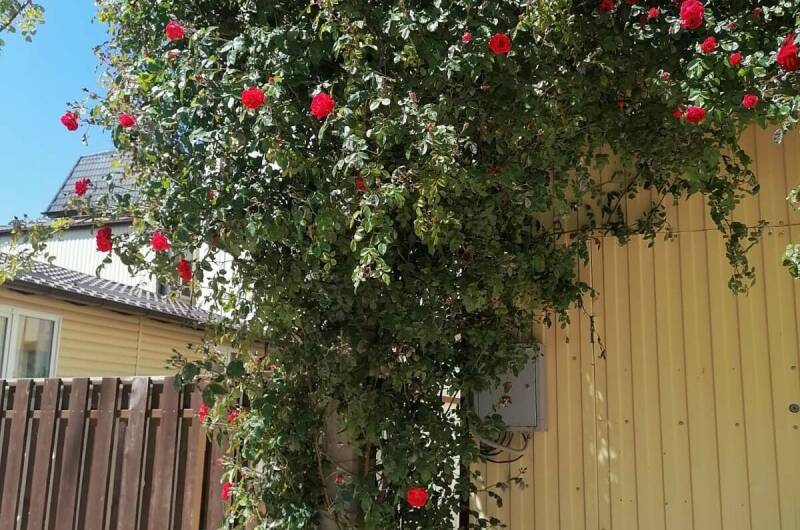 Изображение Изображение гостиницы "Гостевой дом «Радуга»" #3 #3