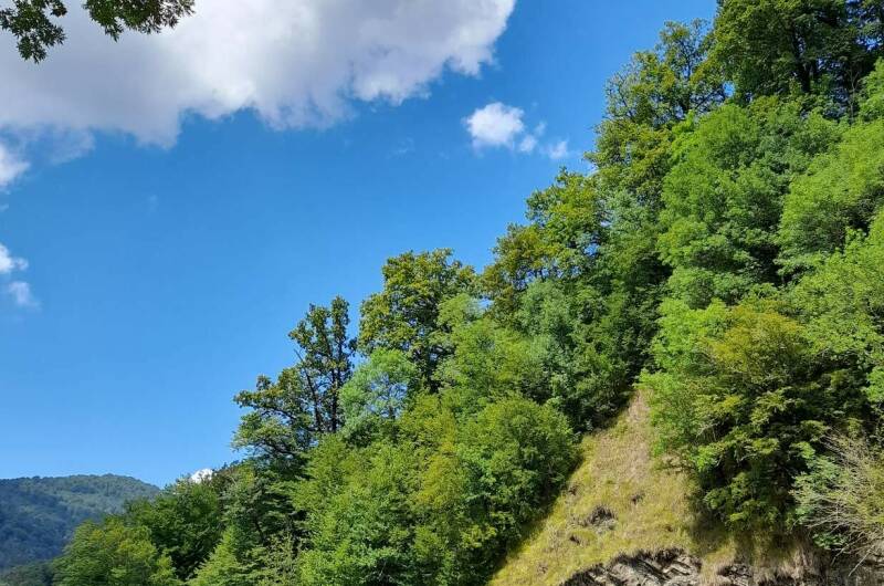 Изображение Изображение квартиры &quot;Чудесный домик под ключ&quot; #5 #5