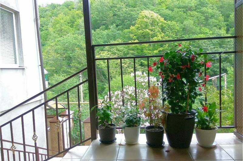 Изображение Изображение гостиницы &quot;Гостевой дом «Северянка»&quot; #8 #8