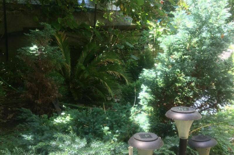 Изображение Изображение гостиницы "Гостевой дом на Самшитовой" #6 #6