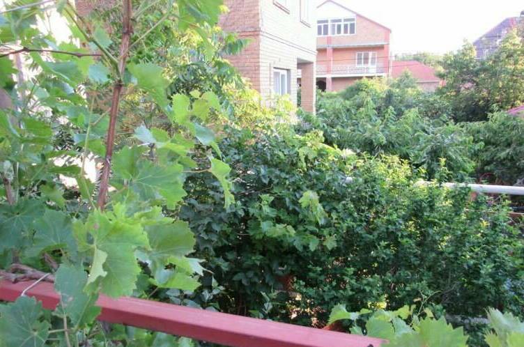 Изображение Изображение гостиницы "Гостевой дом на Октябрьской" #3 #3