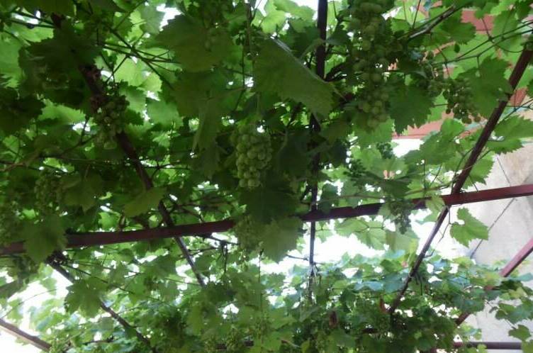 Изображение Изображение гостиницы "Гостевой дом на Октябрьской" #4 #4