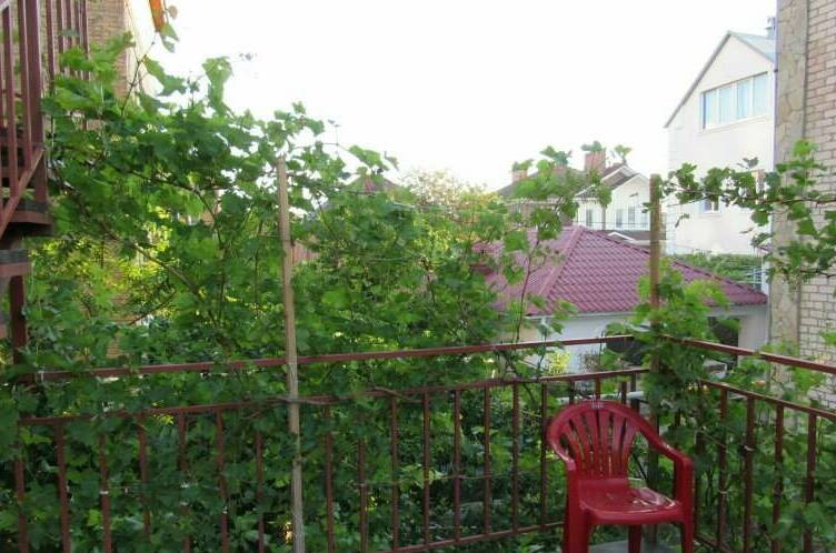 Изображение Изображение отеля / гостиницы "Гостевой дом на Октябрьской" #10 #8